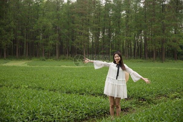 武汉精油全身按摩，舒缓身心，尽享养生时光